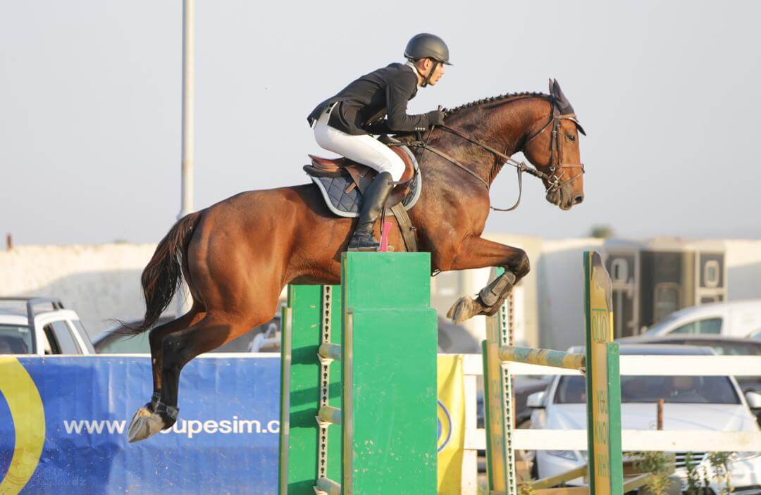 EquiCoach AI Screenshot