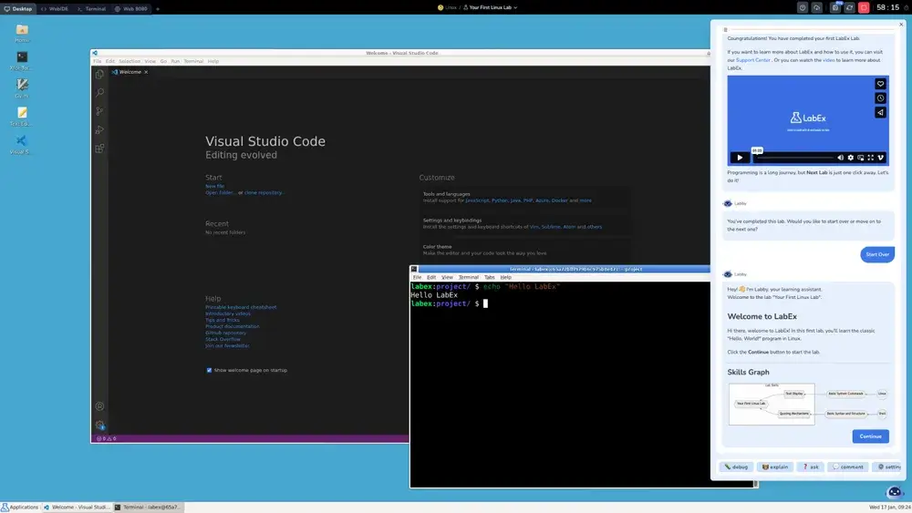 LabEx Screenshot