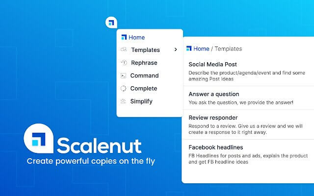 Scalenut Screenshot