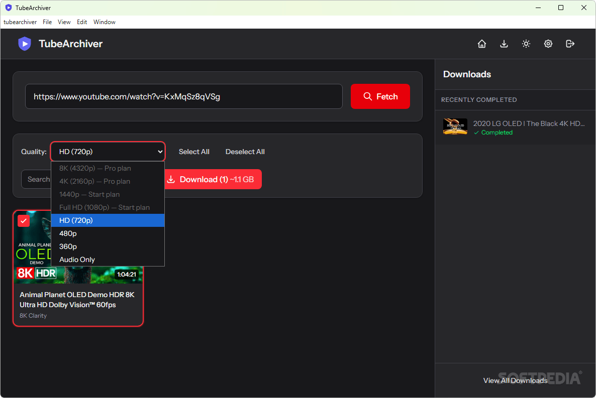 TubeArchiver Screenshot
