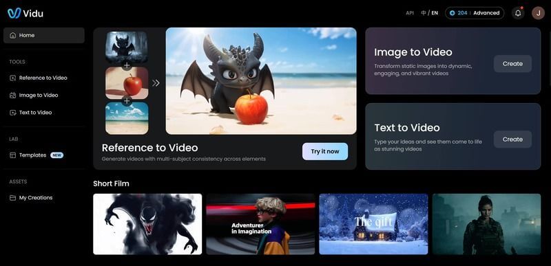 Vidu AI Screenshot