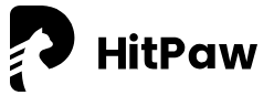 HitPaw Online AI Video Translator割引クーポンコード