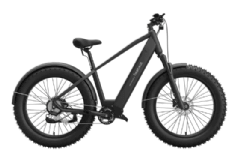 【Allroad ebikes】MorphRover