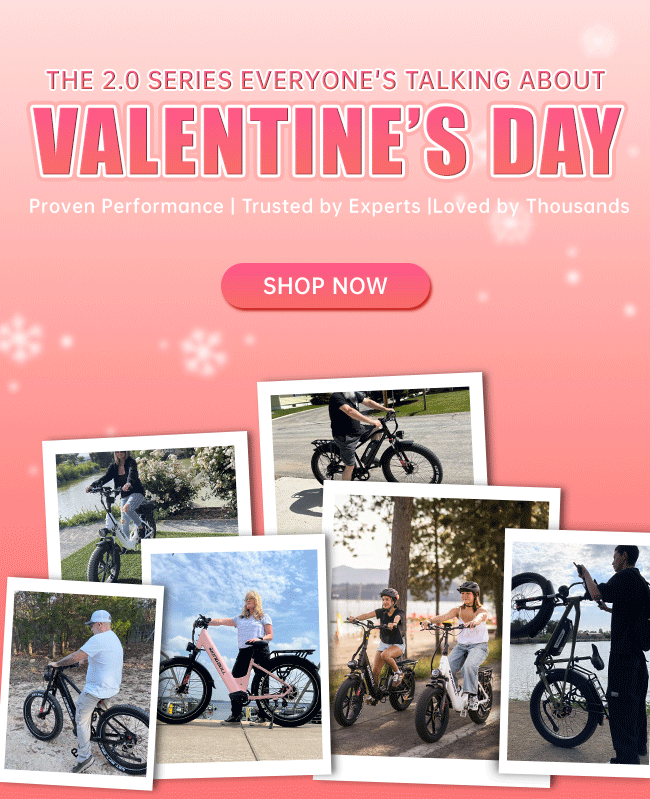 Kingbull Bikes boxshot