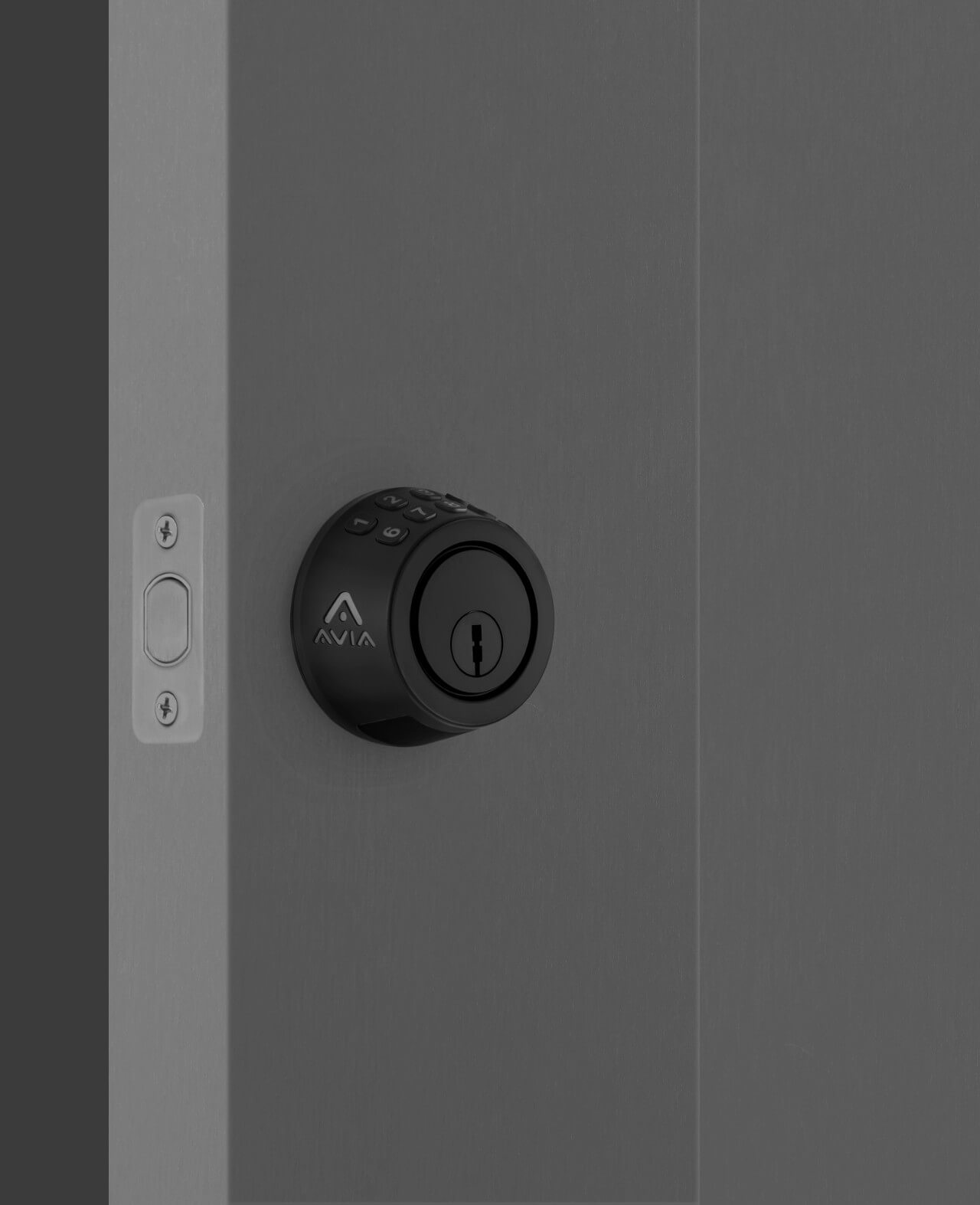 Avia Smart Screenshot