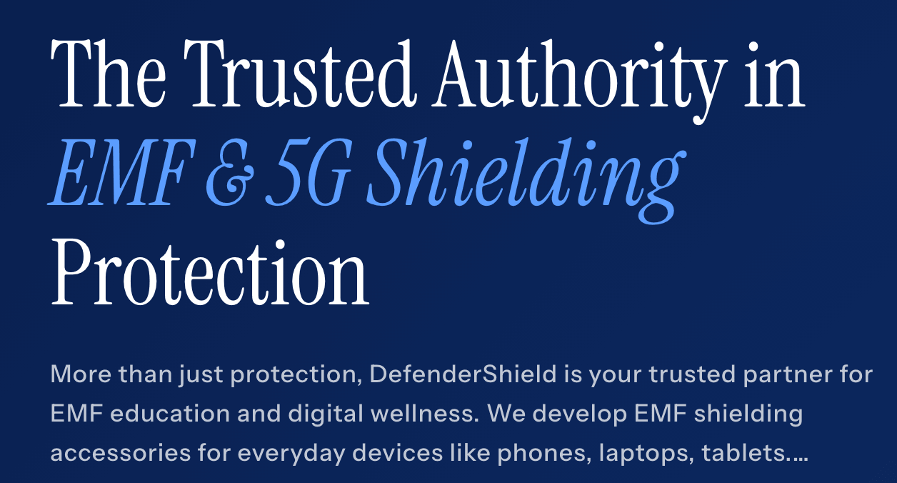DefenderShield Screenshot