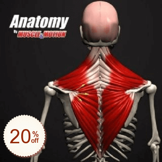 Muscle & Motion - Anatomy割引クーポンコード