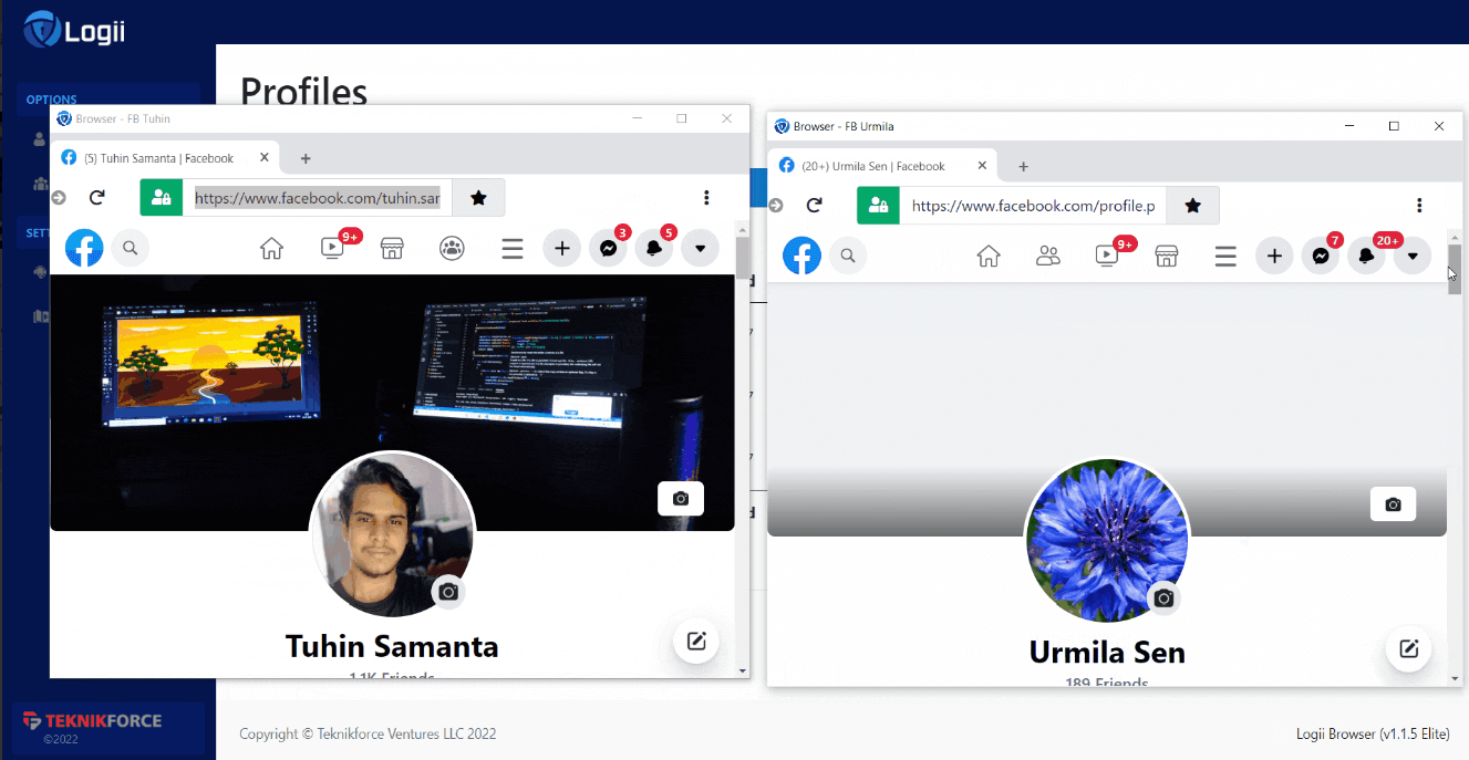 Logii Browser Screenshot