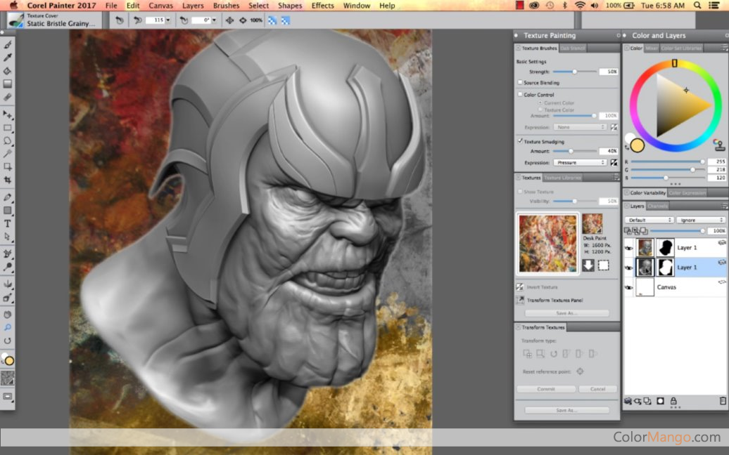 Corel Painter Essentials 6 Free Download - Rahim soft Corel Painter Essentials 6 Free Download - Rahim soft