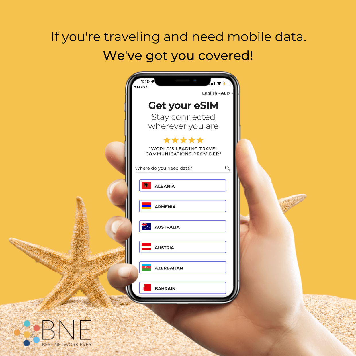 BNESIM Screenshot